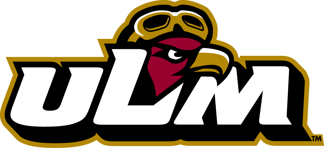 Louisiana-Monroe Warhawks 2006-Pres Misc Logo diy fabric transfer